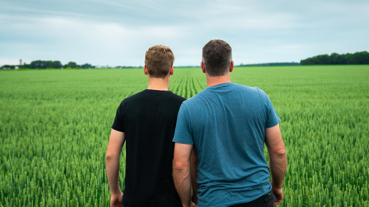Two farmers seen from the back in a wheat field with cover crop.