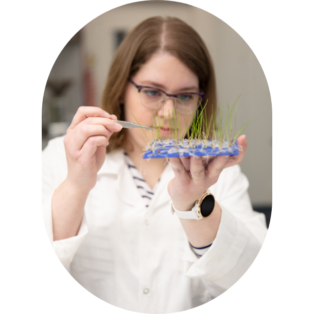 Une chercheuse qui observe des semis dans un laboratoire Sollio Agriculture.