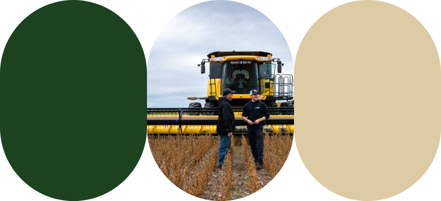Two farmers in front of a combine during the soybean harvest.