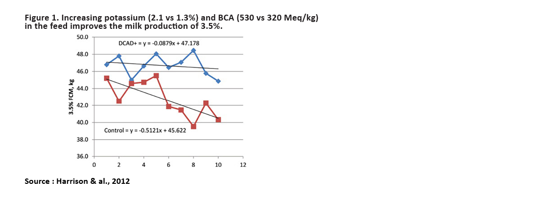 Figure showing that increasing potassium and BCA in feed improves milk production at 3.5%.