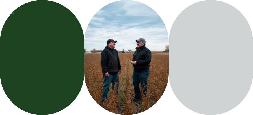 An agri-advisor and a farmer discuss in a soybean field ready to be harvested.