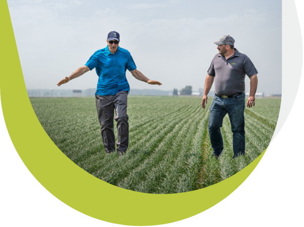 A crop production agri-advisor from Sollio Agriculture and a Maizex seed expert discuss together in a field