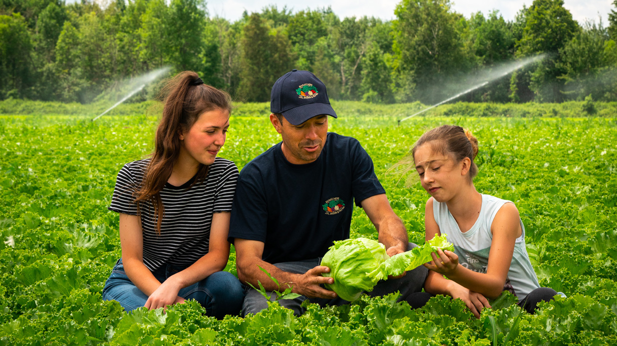 A farmer and his two daughters watch a lettuce as the field is watered behind them.