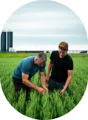 A father and son walk through a field towards a silo. They represent the community of Sollio Agriculture.