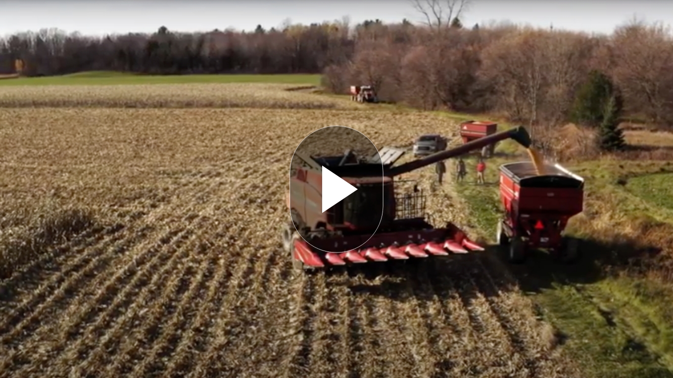 Vignette de la vidéo de présentation du Portail AgConnexion mettant de l'avant une moissonneuse-batteuse pour récolter le maïs grain.