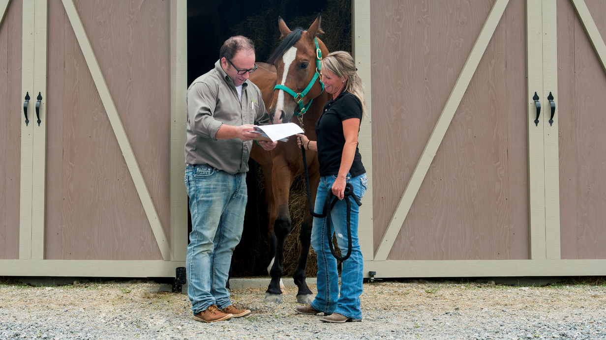 An owner discussing the ideal ration for her horse with an agri-advisor.