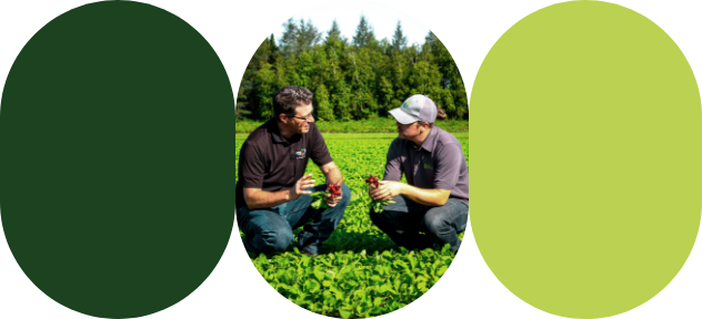 Un agriculteur et un expert-conseil discutent dans un champ de production horticole.