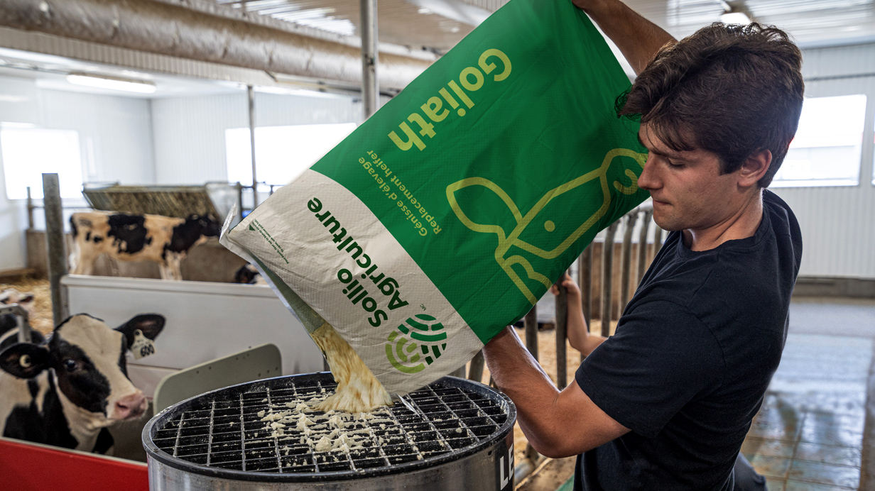 The son of a dairy farmer pours Sollio Agriculture's Goliath milk replacer.