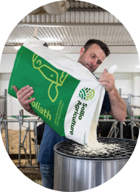 A dairy farmer pours Sollio Agriculture's Goliath milk replacer.