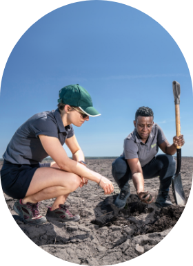 Two employees of Sollio Agriculture's crop production research farm conducting field tests.