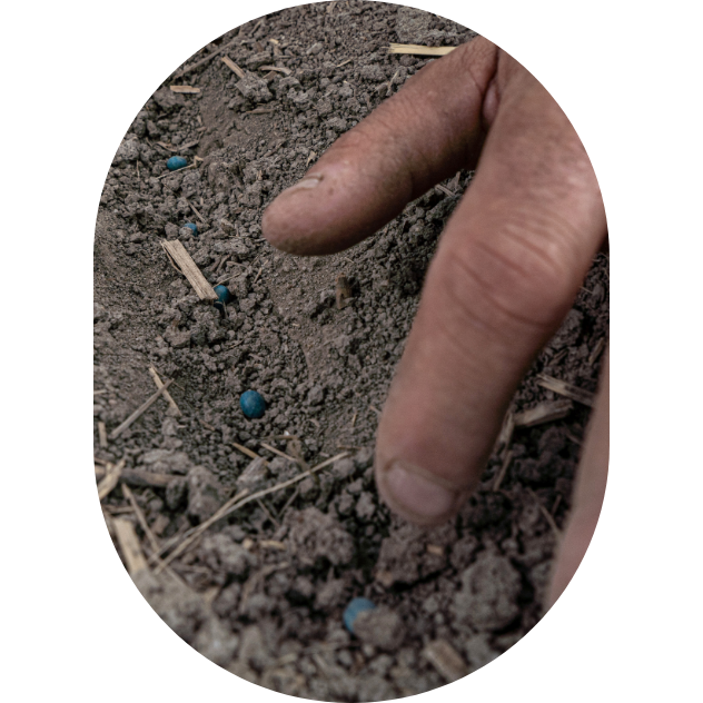 A close-up hand that sows seeds in a furrow.