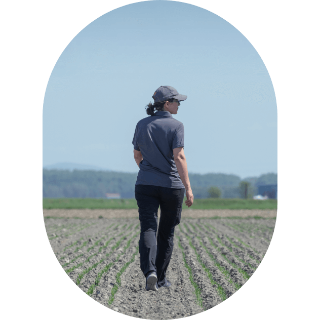 Valérie Chabot, crop improvement breeder at Sollio Agriculture walks on an experimental plot of the research farm.