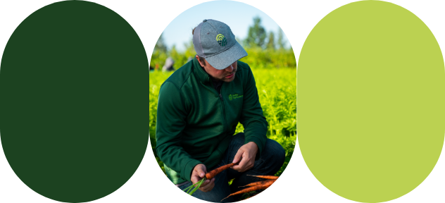 An agri-advisor in a field observes a horticultural producer's carrot harvest.