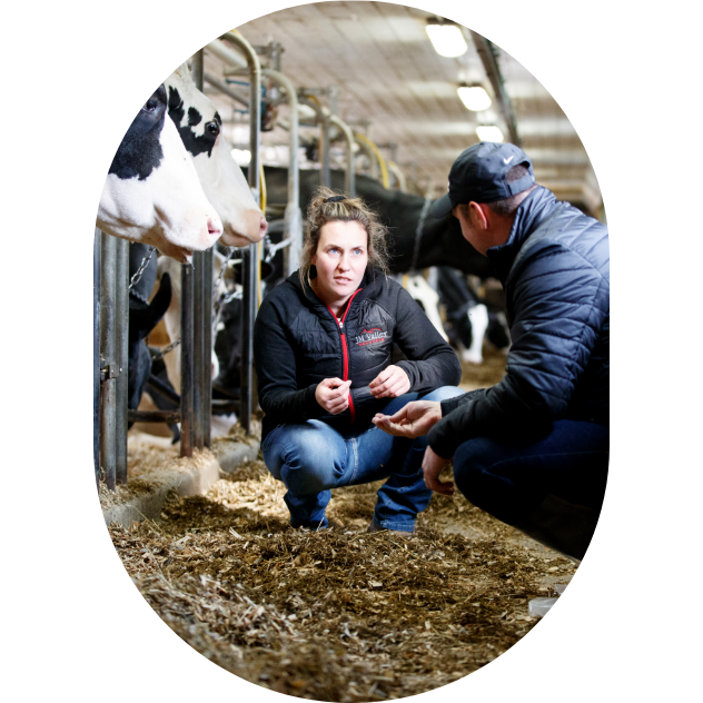 A dairy farmer analyzes her cows' feed with her Sollio Agriculture's agri-advisor.