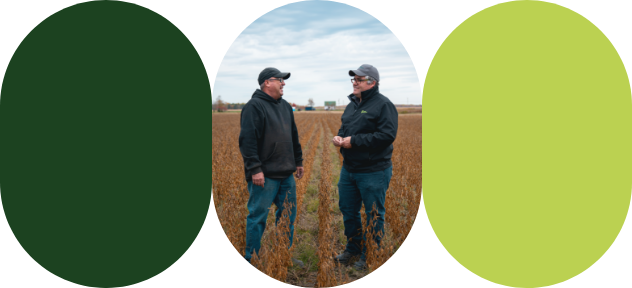 A farmer and an agri-advisor chat in a soybean field just before the grain is harvested.