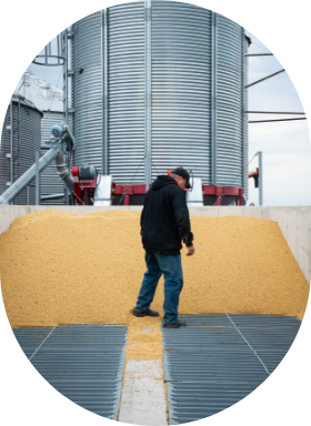 A farmer in front of a silo analyzes the grain before it is sell on the market.