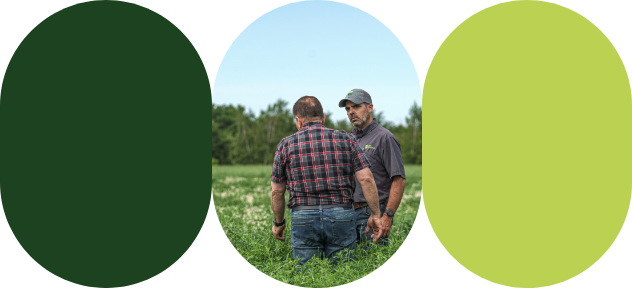 A producer and an agri-advisor evaluate the best crop protection practices in a field.
