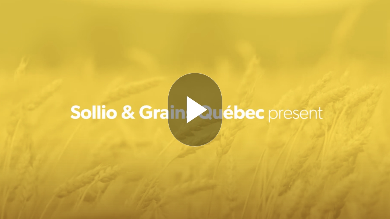 Thumbnail of the Sollio & Grains Québec presentation video