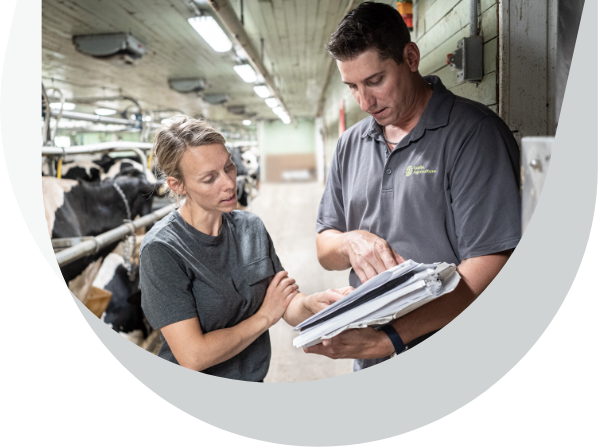 A Sollio Agriculture agri-advisor holds a file and shows data to a dairy farmer in the barn.