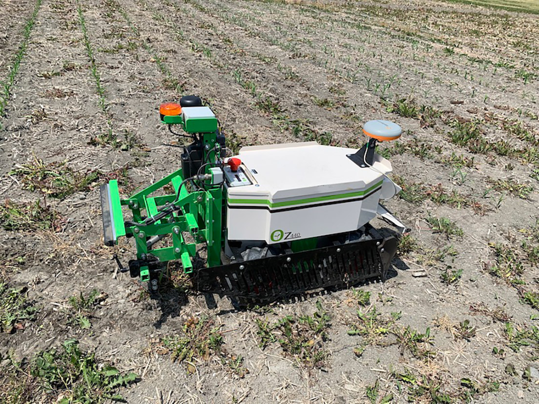 Le robot agricole Oz en train de désherber dans un champ.