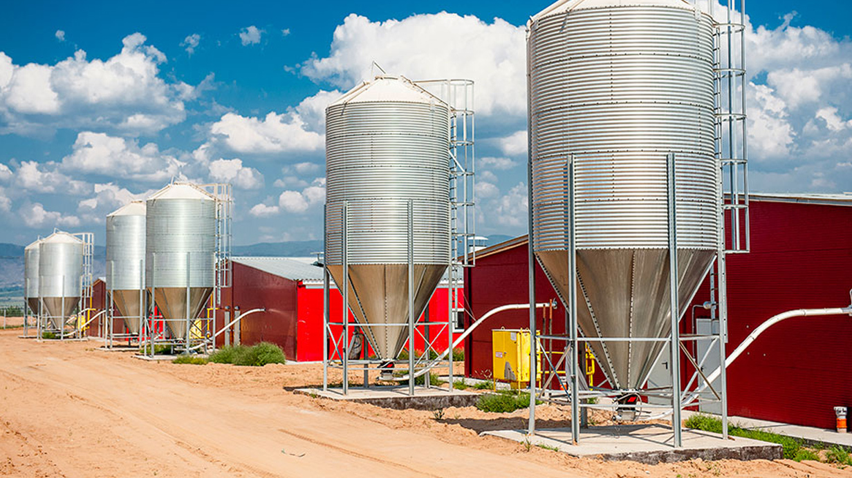 A farm with grain silos connected to the AgConnexion portal.
