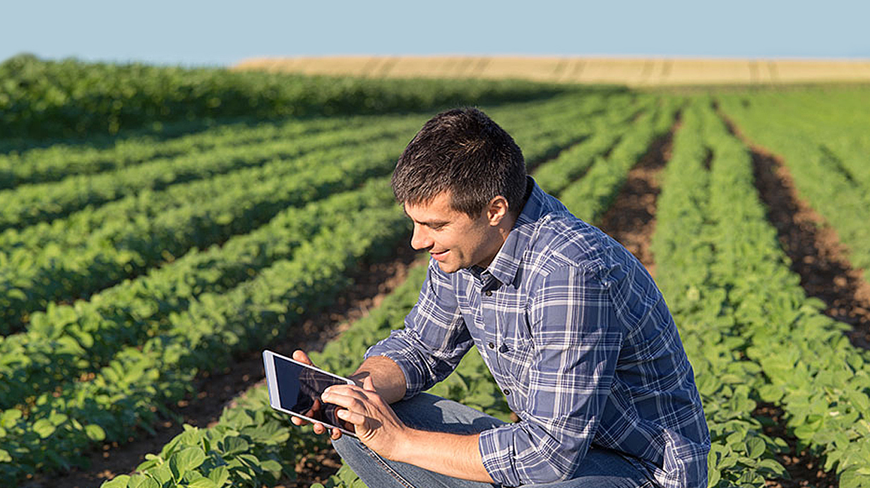 A farmer is crouched in his field checking AgConnexion on a tablet.