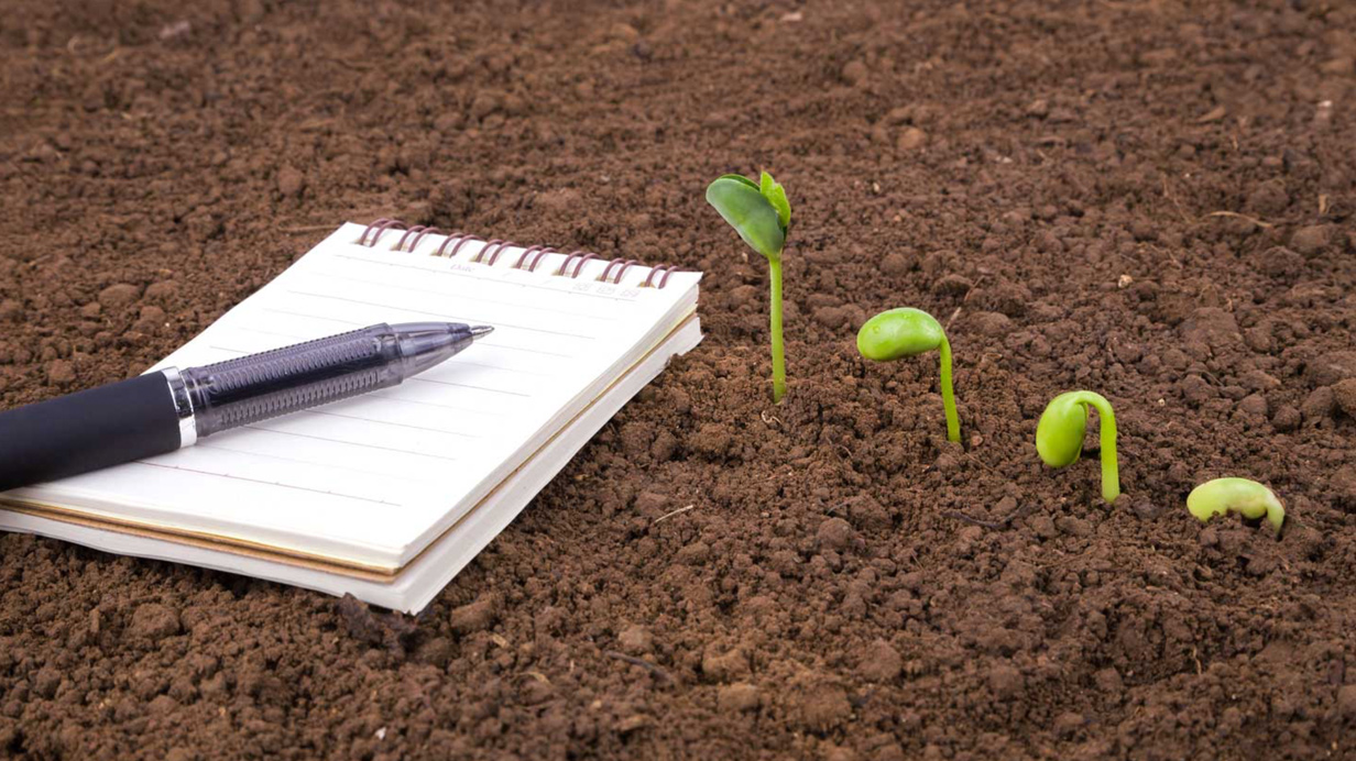 A notepad on soil where seedlings are growing.