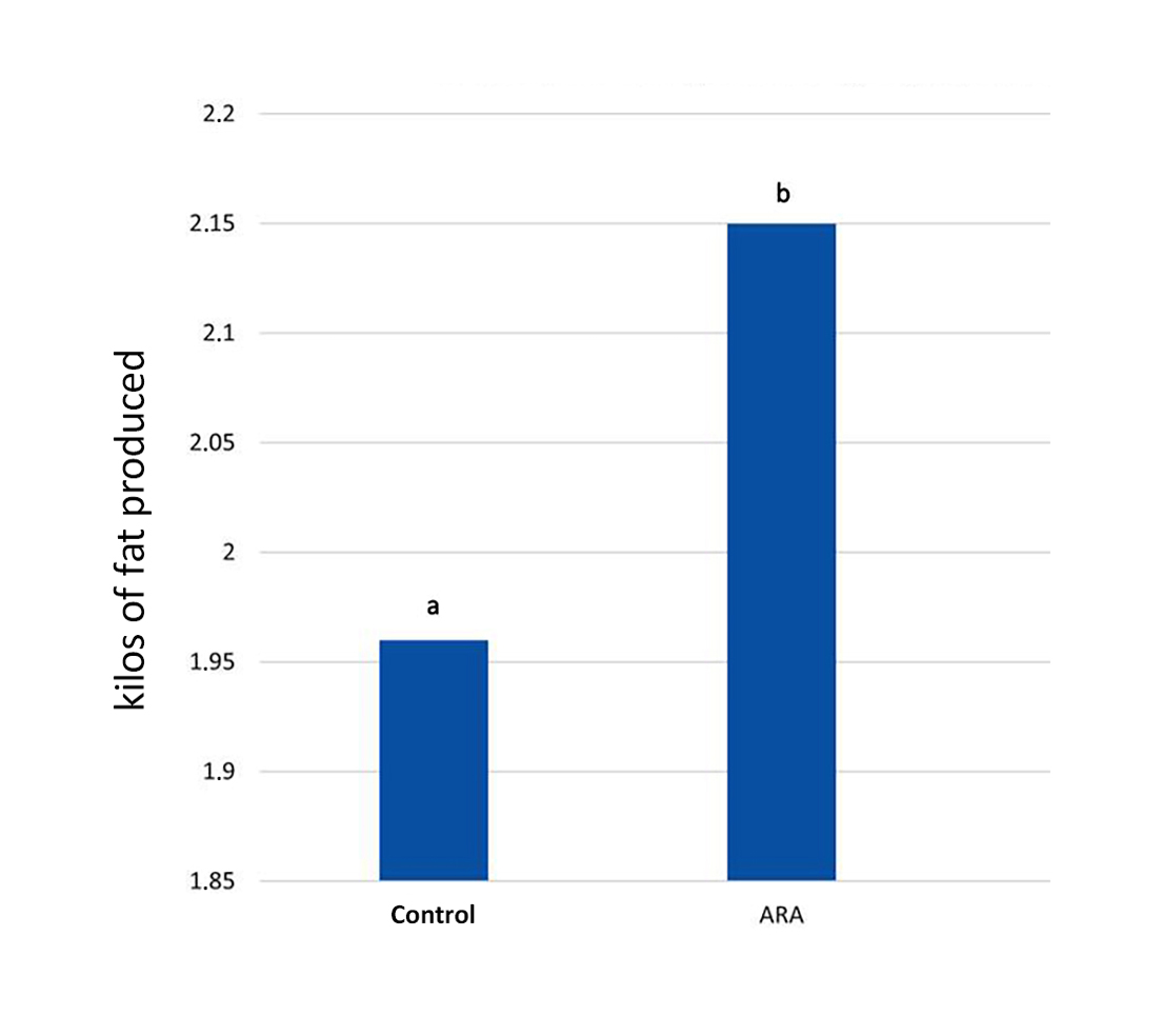 Graph 3. Impact of ARA concept on kilos of fat produced.