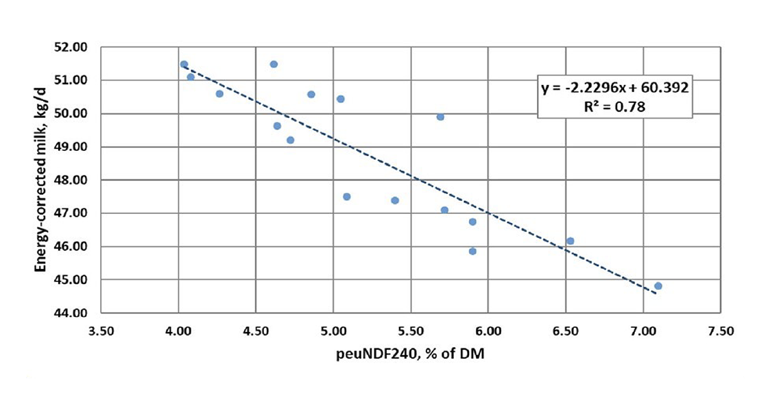 Graph 1. Relationship between physically effective indigestible fibre and energy-correlated milk production.