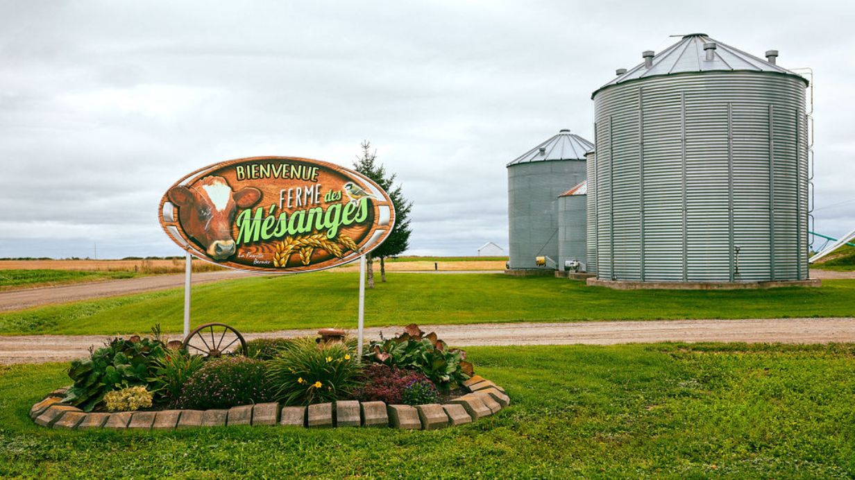 Poster of the Mésanges dairy farm with two silos behind. 