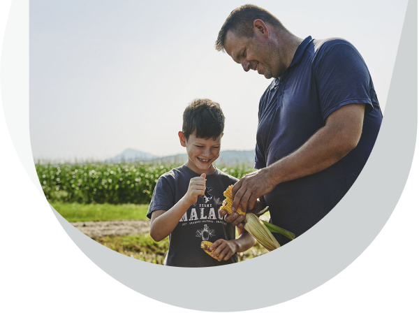 Père et fils dans un champs de maïs