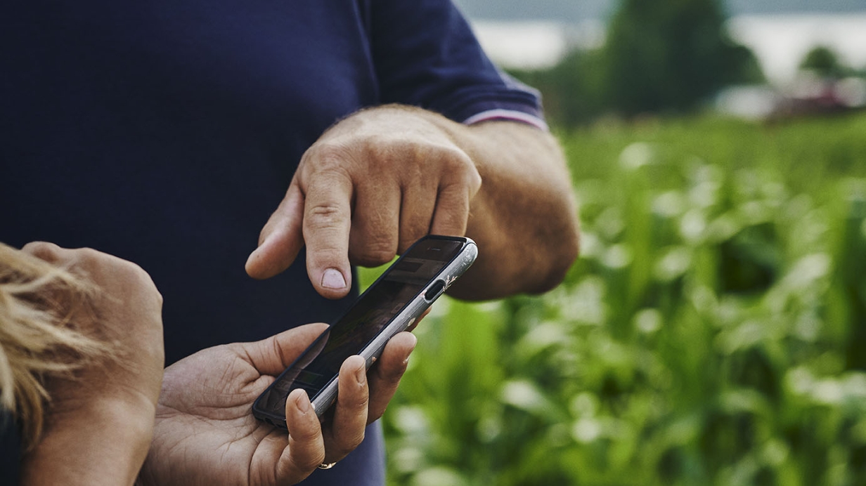 Une experte-conseil tient un cellulaire qui montre l'application Carnet de champs mobile d'AgConnexion. 