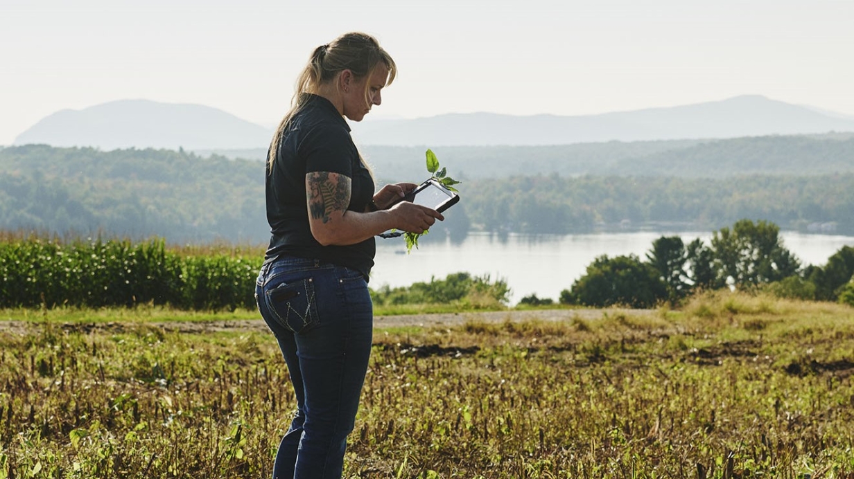 Une experte-conseil est dans le champ et observe les mesures de conservation des sols pour séquestrer le carbone. 