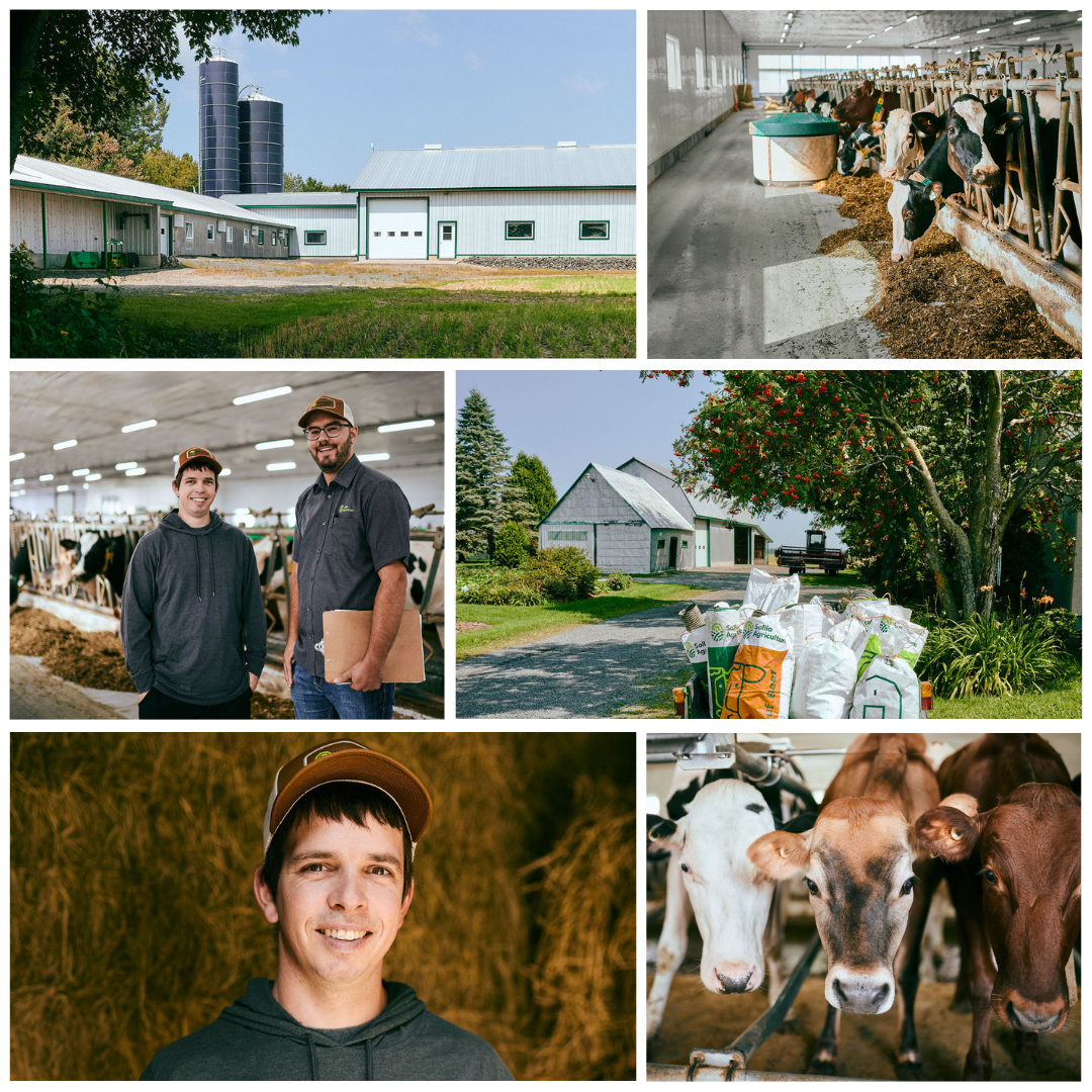 photo reportage_ferme 7 terres