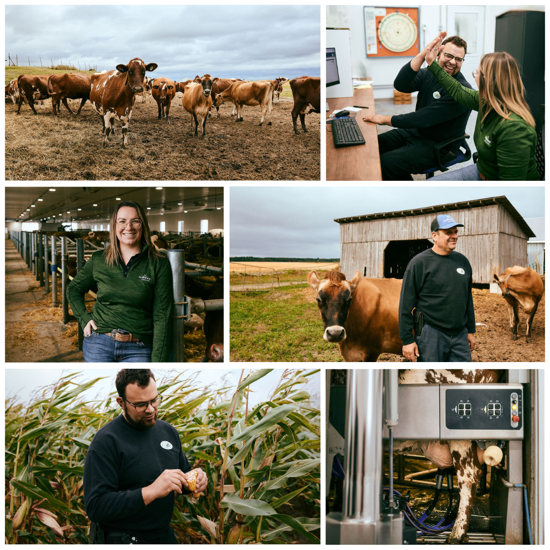 photo reportage_Ferme Mésanges_2