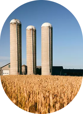 Une ferme vue de loin.