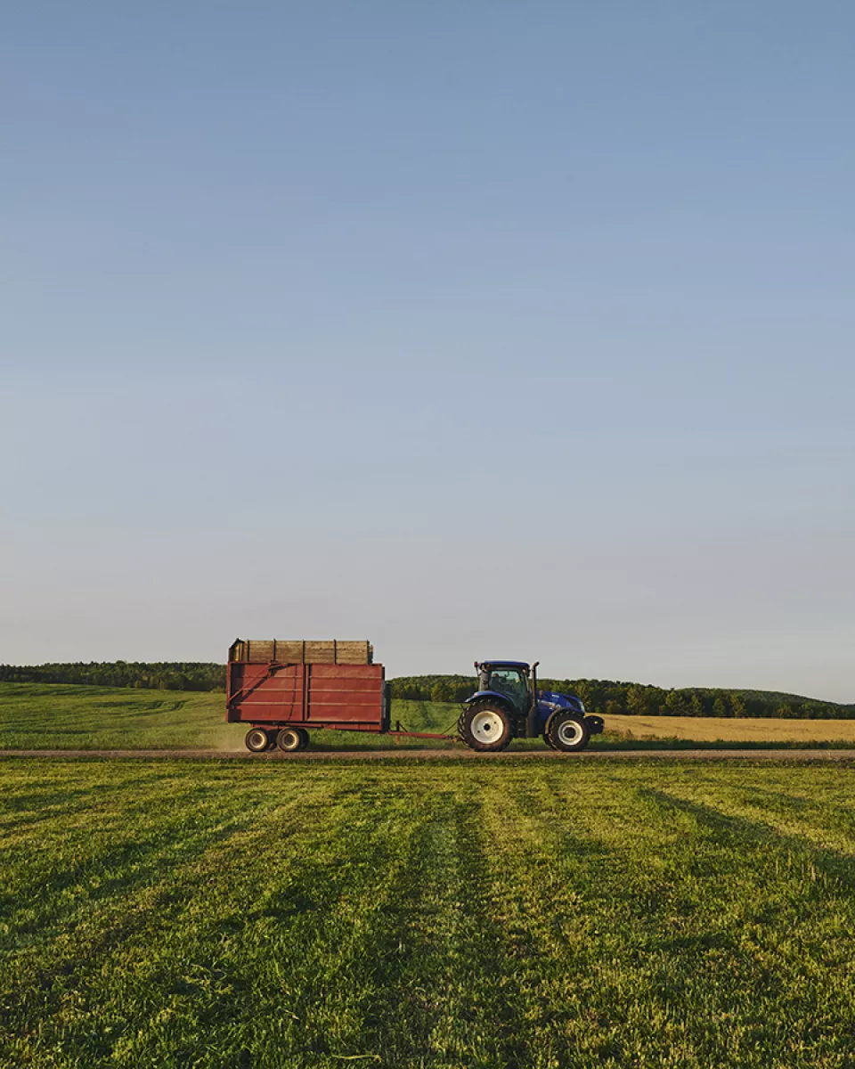 A blue tractor pulls a red trailer full of hay.